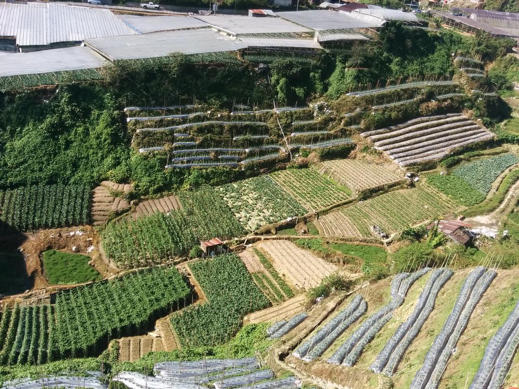Mary Apt @ Equatorial Hill Resort 카메론하일랜즈 외부 사진